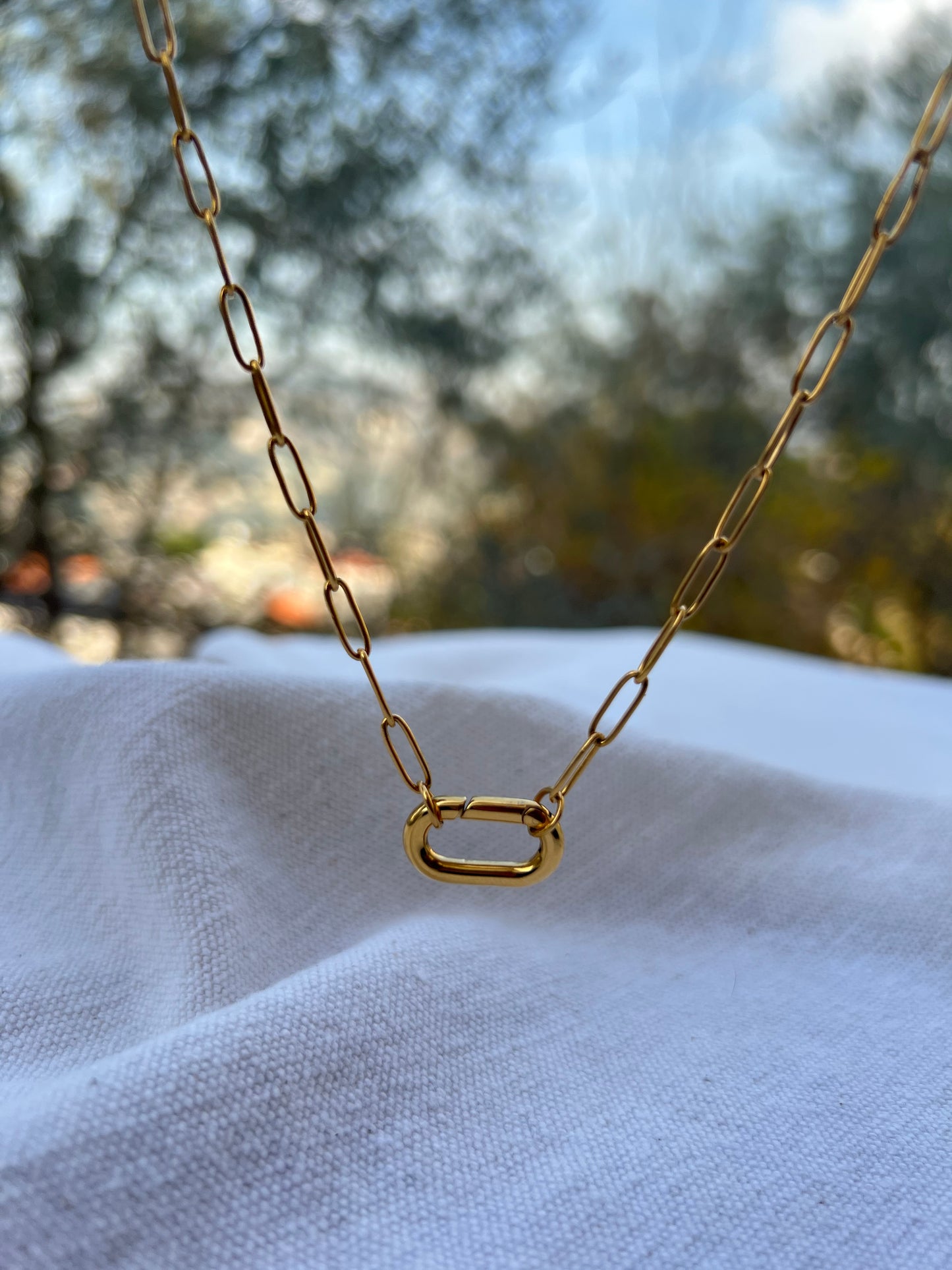 Carter Carabiner Necklace